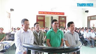 Phú Yên: 4 bị cáo hủy hoại rừng lãnh án 30 năm tù