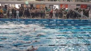 Nikola T. IHSA Swimming 2022