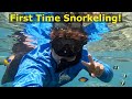 Indonesia: Snorkeling in Blue Lagoon & Trying Babi Guling (Whole Roast Pig)