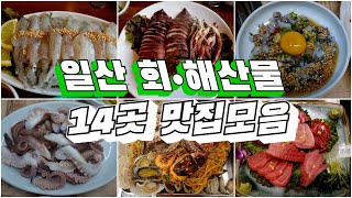 일산에 있는 사시미집부터 해산물 맛집까지 다양하게 모아봤습니다! Sashimi restaurant, Korean food #일산맛집 #사시미맛집 #해산물맛집 #회맛집 #참치회