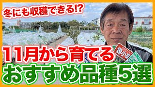 5 Recommended Vegetables Selected by Japanese Farmers to Plant in November !