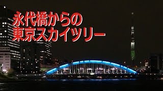 東京湾クルージング 39 永代橋からのスカイツリー Tokyo bay cruise ship onboad Night cruise