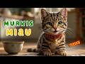 Murkis Miau | Smalsučių Pasaulis (Naujiena)
