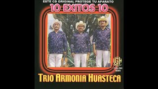 Trio Armonia Huasteca - La Azucena Bella