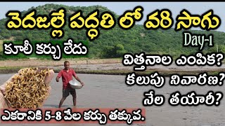 వెదజల్లే పద్ధతిలో వరి సాగు Day 1 | vedajalle paddathi lo vari sagu | Rythu seva Agritech