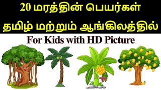 Learn Trees Names in Tamil and English | மரத்தின் பெயர்கள் தமிழ் மற்றும் ஆங்கிலத்தில் | Tree names.