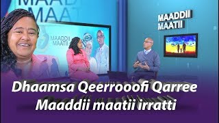 Madii Matii S1 EP1 Dhaamsa Qeerroo fi Qarreef. Qabna.