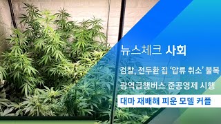 집에서 대마 재배해 피운 20대 모델 커플 붙잡혀 / JTBC 아침\u0026