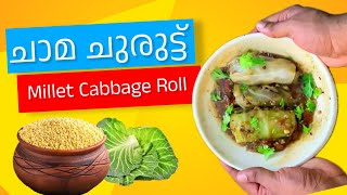 ചാമ ചുരുട്ട്  | മില്ലറ്റ് |  ചാമ അരി | Millet Cabbage Roll  | little Millet | Millet Snacks