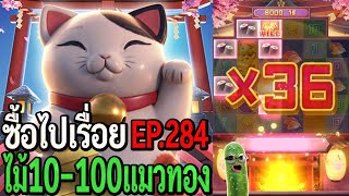 Lucky Neko : สล็อตpg ซื้อไปเรื่อย ไม้10-100 แมวทอง EP.285