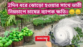 2দিন ধরে ঝোড়ো হওয়ার সাথে ভারী নিম্নচাপে চাষের ব্যাপক ক্ষতি। 😞😞😭😭