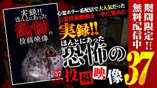 【心霊映像】期間限定配信!!! 実録!!ほんとにあった恐怖の投稿映像 37