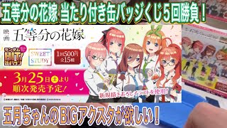 【五等分の花嫁】あたりつきランダムHIT 缶バッジくじ５回勝負！教師姿の五月ちゃんBIGアクスタがほしい！【グッズ開封】【一番くじ】【バッチくじ】