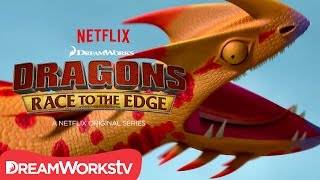 New Dragon Revealed: Singetail | DRAGONS: RACE TO THE EDGE