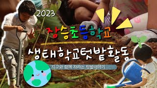 진안군 장승초등학교 2023년 학교텃밭 생태활동