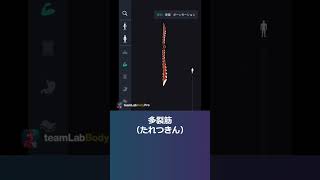 筋肉の名称クイズ-6【解剖学クイズ】　　　　　　　　　　　　　　　　　　　　　　　　　　  #アプリダウンロードは概要から #解剖学 #生理学