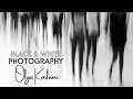 Black and White Photography - 