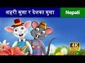 शहरी मुसा र देशका मुसा नेपाली | Town Mouse Country Mouse | Nepali Fairy Tales | Wings Music Nepal