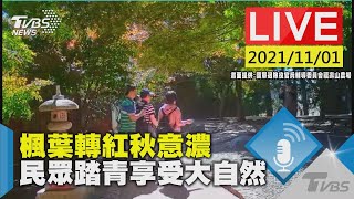 楓葉轉紅秋意濃　民眾踏青享受大自然LIVE