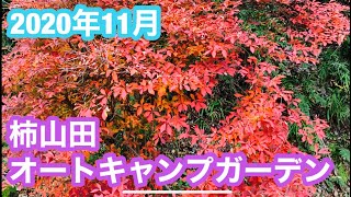 柿山田オートキャンプガーデン　ファミリーキャンプ　千葉県　君津市