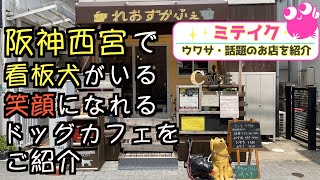 【兵庫西宮】ドックカフェ❗️犬と同伴OK❣️ヘルシーランチがオススメ【れおずかふぇ】 /話題のお店を紹介 ミテイク