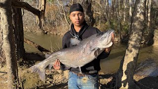 3 MONSTER CATFISH IN ONE DAY!!!!(River Monsters) | Winter River Fishing 2024