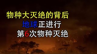 恐龙是我们想象的样子吗？现在的地球正进行第6次物种大灭绝！【科普屋舍】