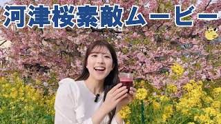 河津桜素敵ムービー【ウェザーニュースLiVE・小林李衣奈】#河津桜素敵ムービー#ウェザーニュース切り抜き