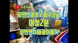 자연산광어 6짜오로시영상입니다