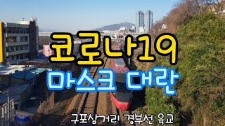 코로나바이러스감염증19-화명동 힐링약국-구포 명신약국-구포힐링교-구남야시고개