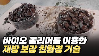 [핫클립] 친환경 소재를 이용한 호안과 제방을 보강하는 기술 / YTN 사이언스