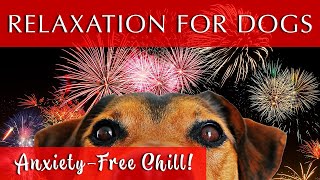 Relaxing Music for Dogs to Calm Down | GREAT FOR FIREWORKS!