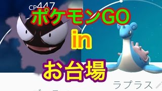 【ポケモンＧＯ】ポケモンまみれ！お台場でラプラスを追え！【攻略動画】