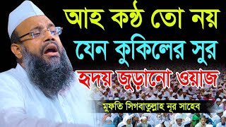 আহ কন্ঠ তো নয় যেন কুকিলের সুর হৃ*দয় জুড়ানো শ্রেষ্ঠ ওয়াজ।মুফতি সিবগাতুল্লাহ নূর সাহেব