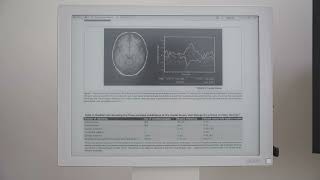 文石 Boox Mira 墨水屏显示器 读学术 PDF 文献