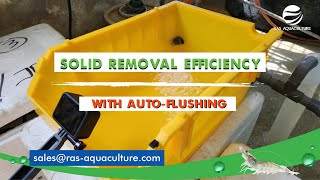 Unleashing Solid Removal Mastery: PISB Boxes \u0026 Automated Flushing for Peak Efficiency