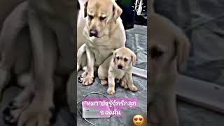 #แคปชั่นเด็ดๆโดนๆ #funny #love #คนสู้ชีวิต #storytime #animals #sad #คำคม #ความรัก #ฝากไว้ให้คิด