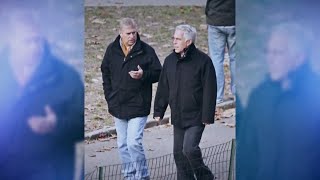 Fallout grows after Epstein files release and Prince Andrew arrest