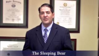 Divorce Lawyer Brownsville - The Sleeping bear