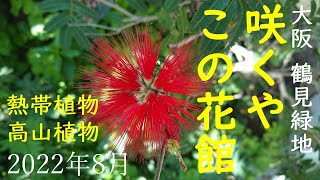 【咲くやこの花館】大阪市　花博記念公園　鶴見緑地内にある植物園の様子をご覧ください。