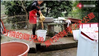 rural woman’s hand-cranked big cock is matched with wild vegetables