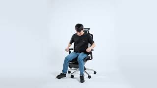 GTCHAIR Marrit X Ergonomic Office Chair