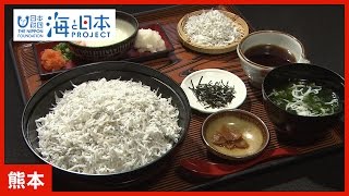 #7 「しらすにします。」水俣でしらすを食べよう！篇 CM 15秒｜海と日本PROJECT in くまもと