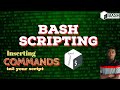 AUTOMATING Commands in your bash script ( whoami.bash )