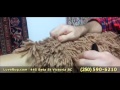 How To Vacuum a SHAG Rug How To Vacuum a SHAG Rug