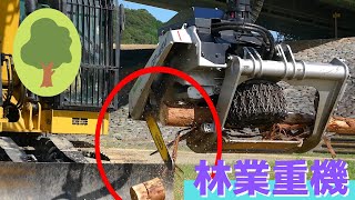 【働く車】ユンボ（油圧ショベル）CAT314EとIWAFUJIプロセッサ GP-45Vの組み合わせ/重機 #働く車 #ユンボ #IWAFUJI #プロセッサ