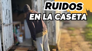 😱Escucho RUIDOS en la CASETA. Entro??!! Un día de tareas en la finca en el que pasa de todo Vlog181