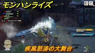 モンハンライズサンブレイク　集会所クエスト攻略（上位）　疾風怒涛の大舞台　【MHRISE】