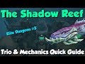 The Shadow Reef Quick Guide - All Bosses Covered! [Runescape 3] Elite Dungeon 3 Help!