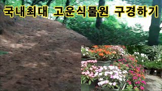 국내최대크기 고운식물원 구경하기